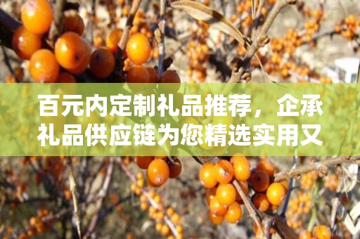 百元内定制礼品推荐，企承礼品供应链为您精选实用又经济的礼物选择
